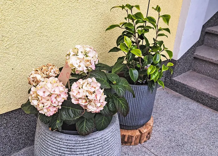 Waldfrieden By Interhome Daire *