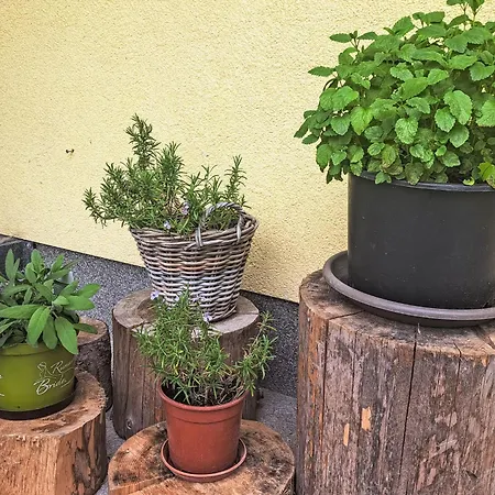 Apartmán Waldfrieden By Interhome *