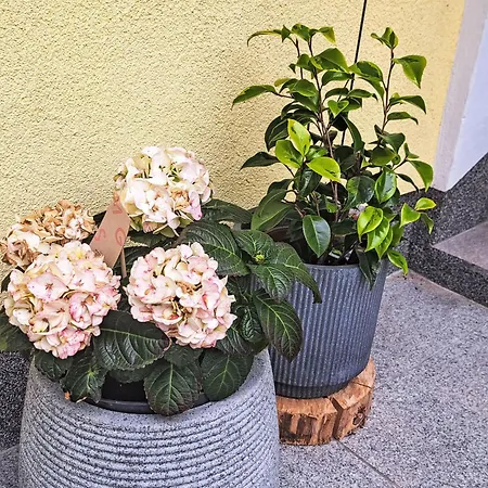 Waldfrieden By Interhome Apartmán *