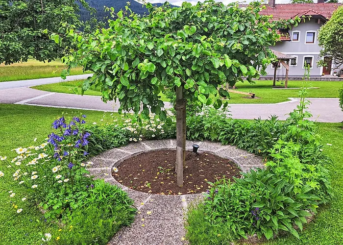 Apartament Waldfrieden By Interhome *