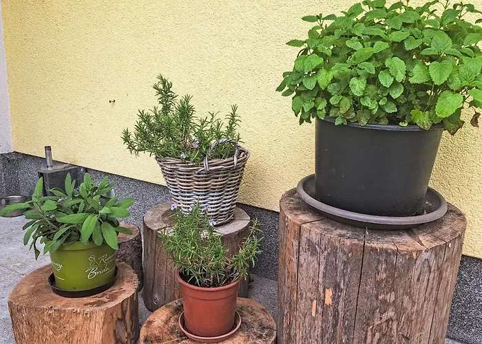 Apartament Waldfrieden By Interhome *